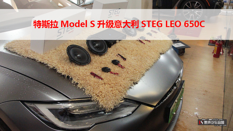 特斯拉Model S升级意大利STEG LEO 650C
